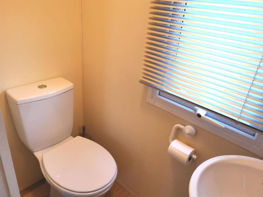 Charming Static Caravan Dawlish Bagian luar foto